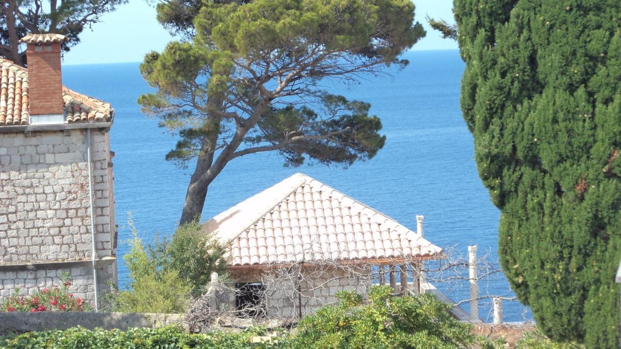 Villa Elly Dubrovnik Kültér fotó